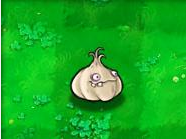 植物大战僵尸-大蒜 Garlic