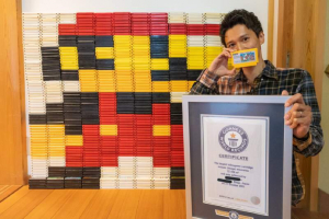 任天堂卡带拼图创作打破吉尼斯世界纪录！日本收藏家另类成就
